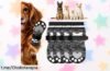 Calcetines antideslizantes para perros OSDUE, ¡rebajados! No dejes que tu peludo resbale mientras juega. Aprovecha este ofertón y dale la seguridad que merece ya mismo.