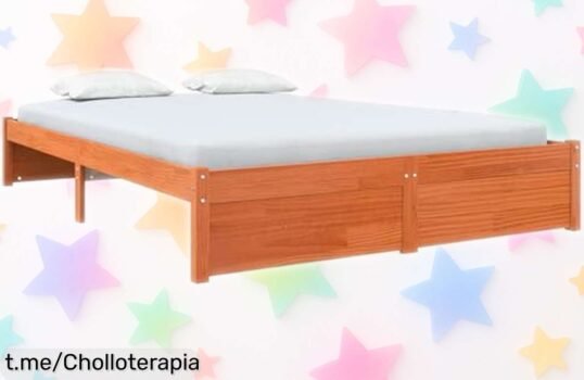Cama estructural vidaXL moderna y resistente, perfecta para cualquier colchón. Aprovecha el precio regalado y renueva tu dormitorio antes de que se agote la oferta irresistible.