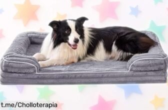 Cama ortopédica VoltaEcho para perros: ¡Ofertón a precio de risa! Mima a tu peludo con estilo y ahorra ahora, no te quedes sin esta oportunidad única.