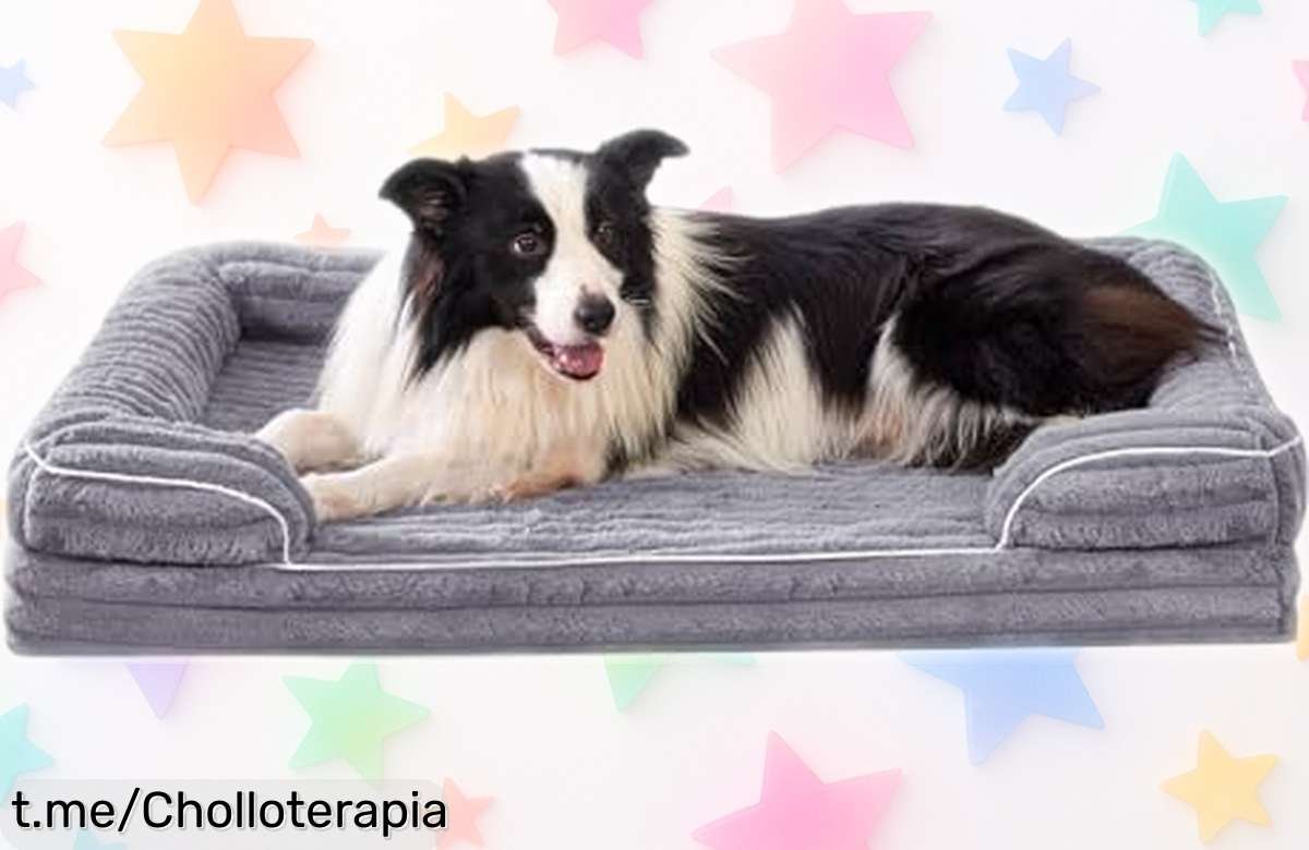 Cama ortopédica VoltaEcho para perros: ¡Ofertón a precio de risa! Mima a tu peludo con estilo y ahorra ahora, no te quedes sin esta oportunidad única.