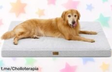 Cama para perros Cozy Kiss XXL con espuma ortopédica y funda lavable a precio loco ¡Esto es un super chollo que tu peludo merece! No dejes pasar esta oportunidad única.
