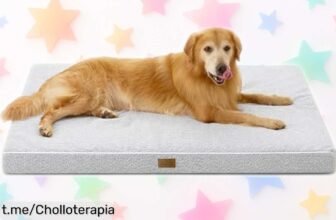 Cama para perros Cozy Kiss XXL con espuma ortopédica y funda lavable a precio loco ¡Esto es un super chollo que tu peludo merece! No dejes pasar esta oportunidad única.