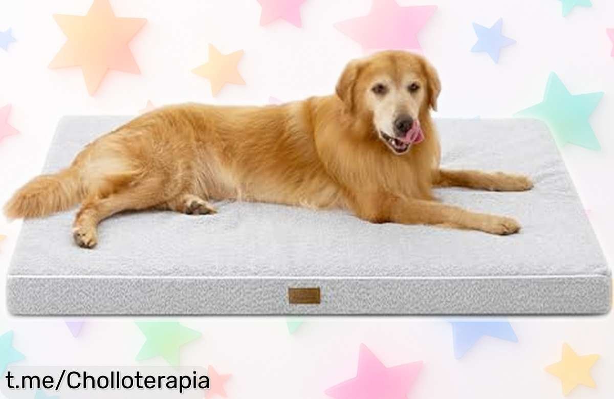 Cama para perros Cozy Kiss XXL con espuma ortopédica y funda lavable a precio loco ¡Esto es un super chollo que tu peludo merece! No dejes pasar esta oportunidad única.