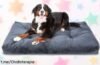 Cama para perros grandes Nobleza, super suave y fácil de lavar a un precio regalado que hará feliz a tu peludo (y a ti) ¡No te lo pierdas!