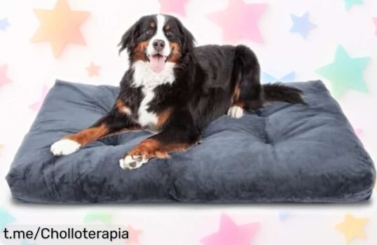 Cama para perros grandes Nobleza, super suave y fácil de lavar a un precio regalado que hará feliz a tu peludo (y a ti) ¡No te lo pierdas!