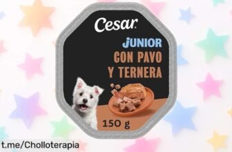 Comida húmeda Cesar Tarrina Junior para cachorros, 14 tarrinas de sabor irresistible que hará feliz a tu peludo: ¡aprovecha este mega chollo y cuídalo como se merece!