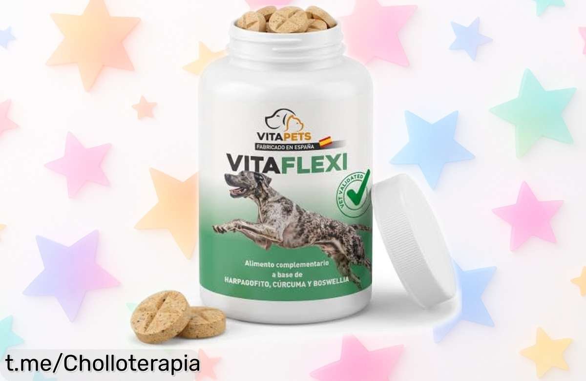 Condroprotector para perros con cúrcuma, harpagofito y boswellia: ¡rebaja brutal en el precio para cuidar sus articulaciones! Mima a tu peludo sin que duela al bolsillo.