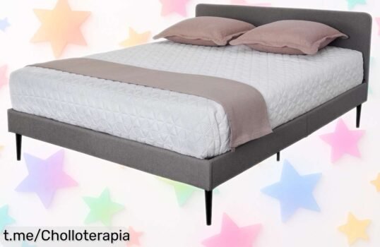 Descubre la cama Star 150x190cm en gris, elegancia y confort a un precio increíble que hará de tus noches momentos inolvidables. ¡No te quedes sin ella!