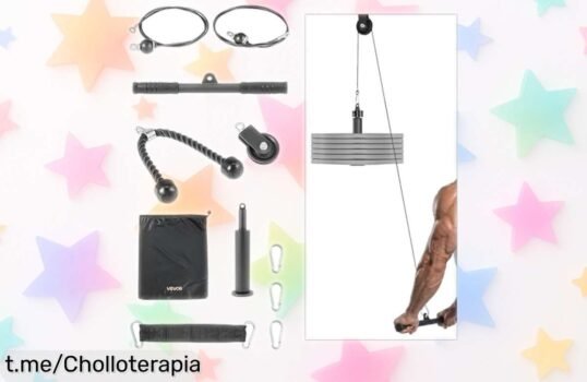 Entrena tus brazos y espalda con el juego de poleas VEVOR, ¡equipamiento práctico a un precio de ganga que no te puedes perder!