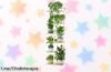 Estantería para plantas Bamworld de 6 niveles a precio tirado, ideal para transformar tu hogar en una jungla urbana con estilo, ¡no te la pierdas!