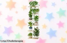 Estantería para plantas Bamworld de 6 niveles a precio tirado, ideal para transformar tu hogar en una jungla urbana con estilo, ¡no te la pierdas!