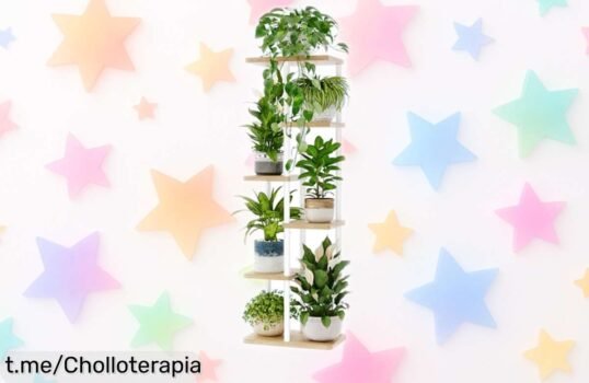 Estantería para plantas Bamworld de 6 niveles a precio tirado, ideal para transformar tu hogar en una jungla urbana con estilo, ¡no te la pierdas!