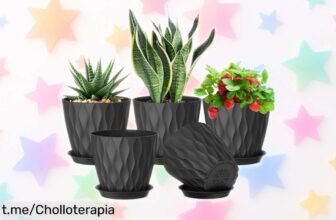 Pack de 6 macetas pequeñas con plato y agujeritos para tus plantas, un ofertón sensacional que te va a enamorar por su precio rebajado y calidad ¡No esperes más!