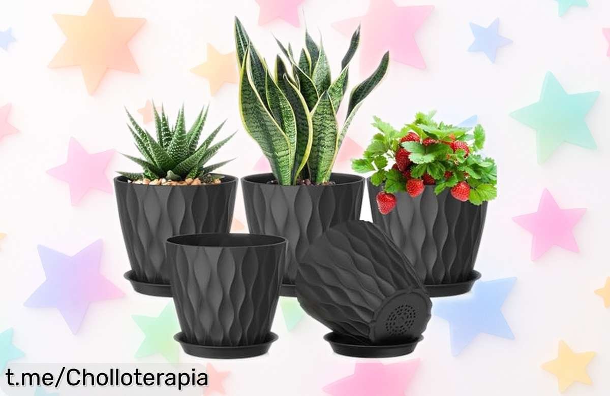 Pack de 6 macetas pequeñas con plato y agujeritos para tus plantas, un ofertón sensacional que te va a enamorar por su precio rebajado y calidad ¡No esperes más!
