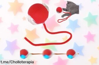 Pelota interactiva automática SORNEICDR para gatos y perros, un ofertón que hará saltar de alegría a tu peludo con horas de juego ¡No te lo pierdas!