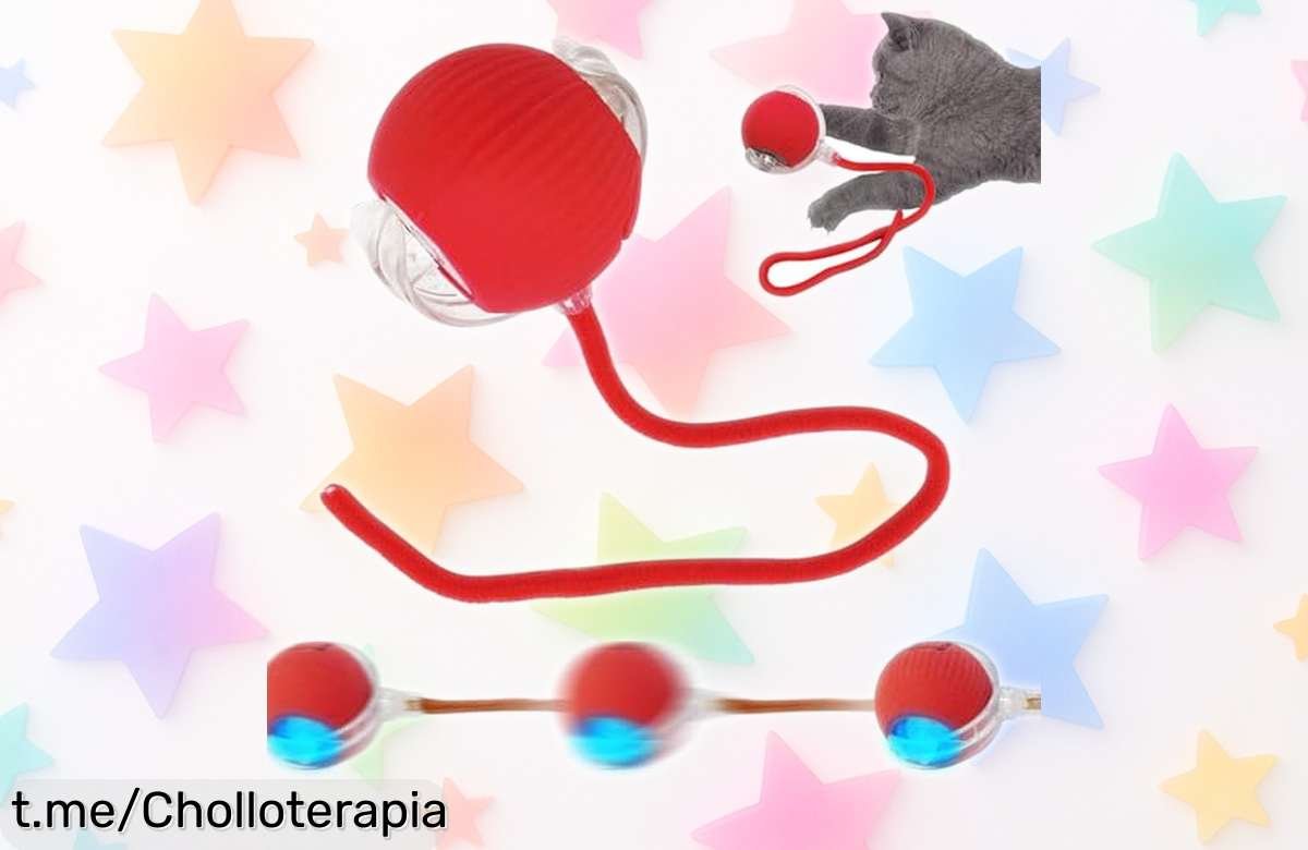 Pelota interactiva automática SORNEICDR para gatos y perros, un ofertón que hará saltar de alegría a tu peludo con horas de juego ¡No te lo pierdas!