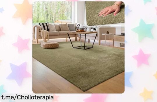 Alfombra moderna Paco Home suave y antideslizante, un ofertón necesario para embellecer tu salón con comodidad fácil de cuidar. ¡No dejes pasar esta oportunidad única!