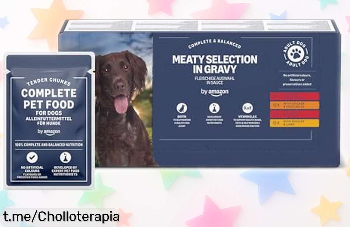 Alimento completo para perros adultos de Amazon con 48 paquetes en salsa a un precio loco que hará feliz a tu perro y cuidará su salud ¡No te lo pierdas!