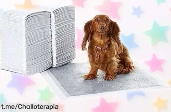 Almohadillas para adiestrar perros y cachorros Amazon Basics, pack de 120 en un precio loco para que tu mascota esté feliz y tu casa siempre olorosamente fresca. ¡No te lo pierdas!