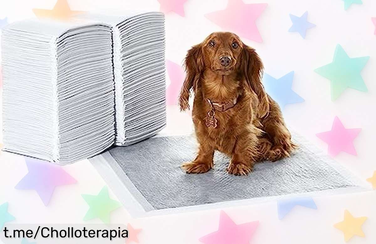 Almohadillas para adiestrar perros y cachorros Amazon Basics, pack de 120 en un precio loco para que tu mascota esté feliz y tu casa siempre olorosamente fresca. ¡No te lo pierdas!