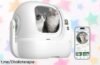 Arenero autolimpiable PETKIT PUROBOT MAX Pro 2 con cámara vigilante, un ofertón que hará tu vida más fácil y tus gatetes más felices. ¡No dejes pasar esta oportunidad!