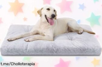 Cama grande para perros Nobleza, el ofertón que calmará la ansiedad de tu peludo y lo mimará en cada siesta; date prisa, su precio ha caído como nunca ¡El momento es ahora!