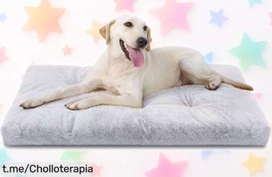 Cama grande para perros Nobleza, el ofertón que calmará la ansiedad de tu peludo y lo mimará en cada siesta; date prisa, su precio ha caído como nunca ¡El momento es ahora!