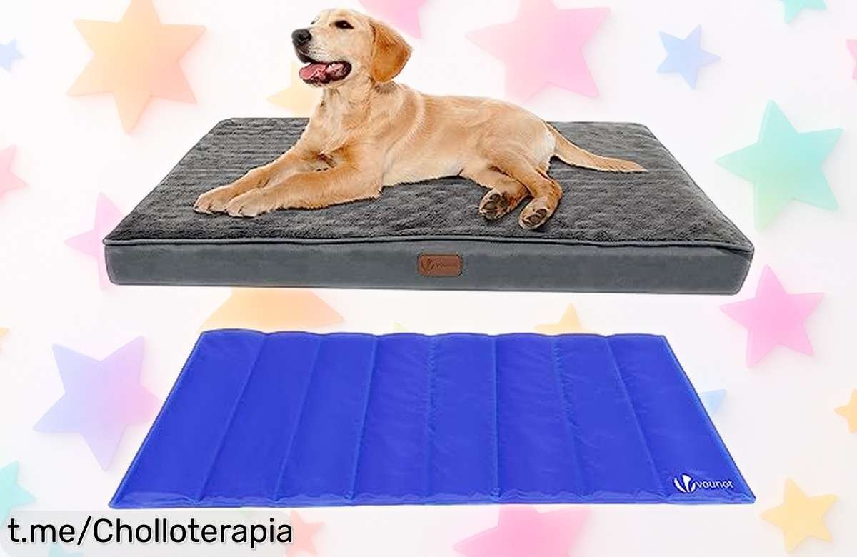 Cama ortopédica para perros VOUNOT: el ofertón que tu mascota amará con colchón viscoelástico y alfombra refrescante, ¡no dejes pasar esta oportunidad única para mimarlo!