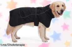 Chaqueta impermeable AMFUN para perro, protección total contra la lluvia y el frío a precio loco que hará felices tus paseos con tu peludo. ¡No dejes pasar esta oportunidad!