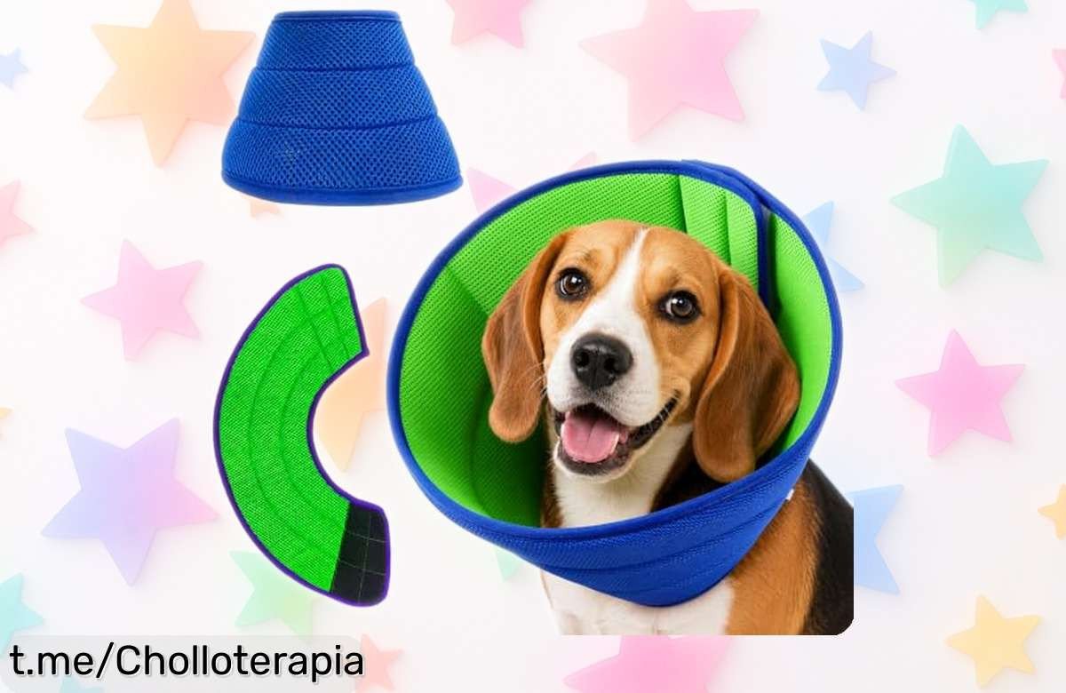 Collar isabelino ajustable para perros que detiene picazón y lamido, ahora a un precio loco: ¡cuida a tu peludo sin complicaciones y aprovecha este ofertón!
