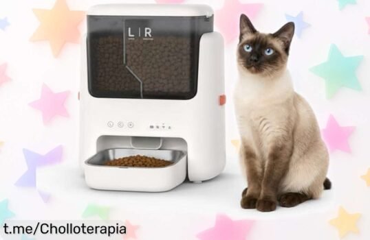 Comedero inteligente para gatos de doble tolva, la maravilla que programa sus comidas y premios. ¡No lo dejes escapar a este precio rebajado que es un regalo!
