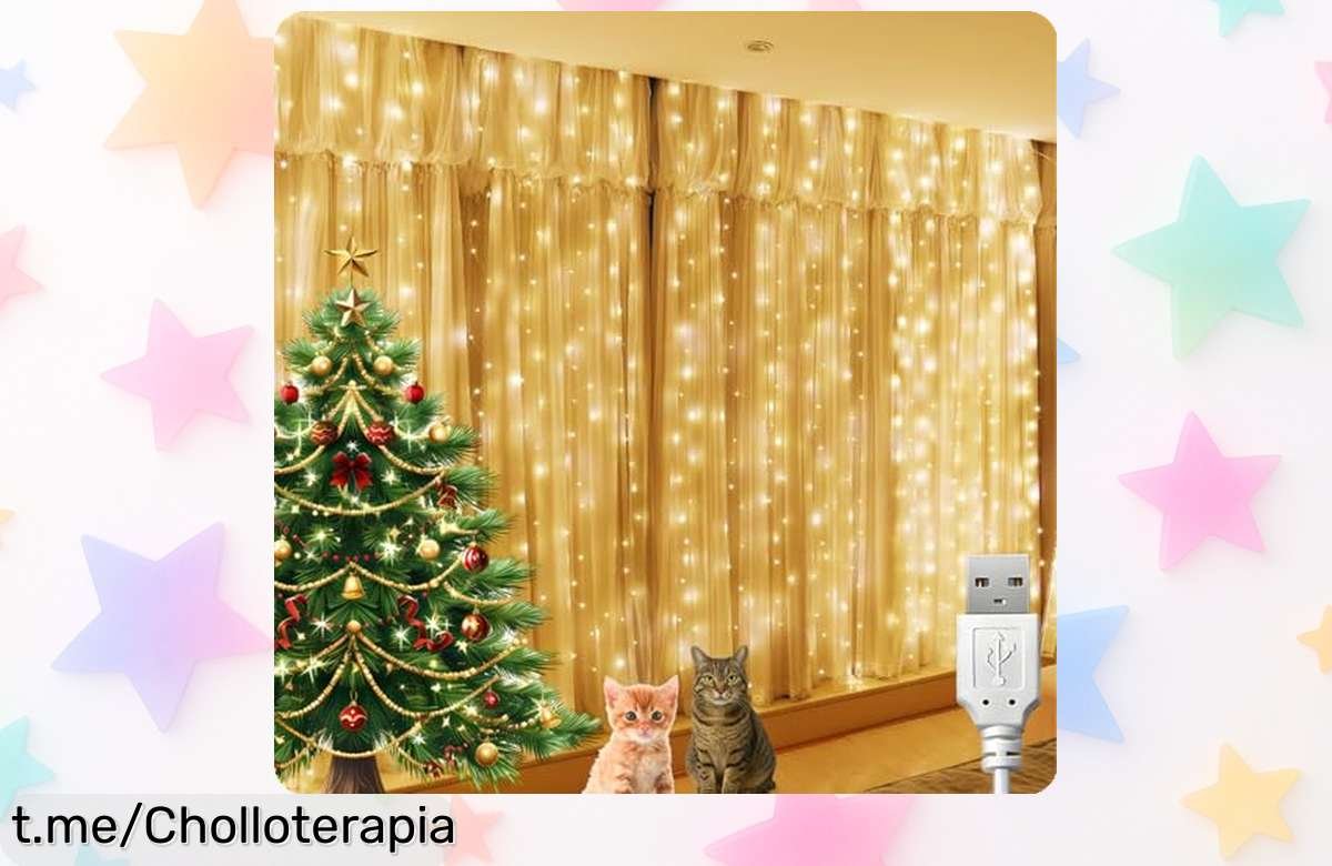 Cortina de luces LED 2x2m BG9D con 200 leds, un ofertón para iluminar tu espacio y crear el mejor ambiente; ¡aprovéchala ya que no durará!