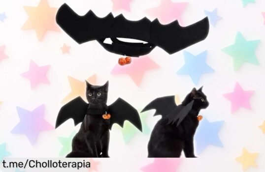 Disfraz murciélago UXEWKL para tu mascota: ¡con campana de calabaza y precio loco! Haz que sea el alma de la fiesta, no te quedes sin él.