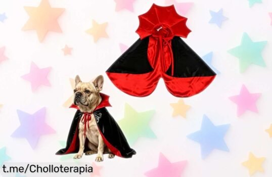 Disfraz vampiro para perro mediano Txdzking que hará del Halloween una noche inolvidable con su estilo único; ¡aprovecha este precio de escándalo y sorprende a todos!