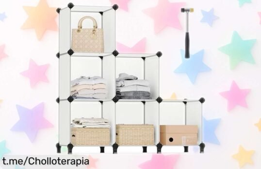 Estantería modular SONGMICS de 6 compartimentos con paneles translúcidos, gran ofertón para mantener todo en orden sin complicaciones, ¡apégate al chollo antes que se acabe!