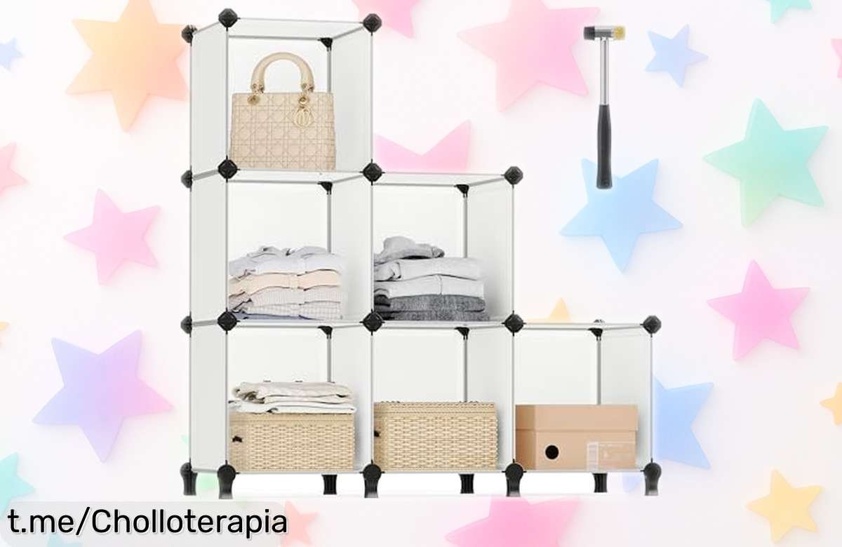 Estantería modular SONGMICS de 6 compartimentos con paneles translúcidos, gran ofertón para mantener todo en orden sin complicaciones, ¡apégate al chollo antes que se acabe!