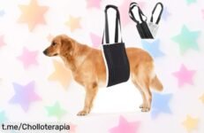 Increíble ayuda ajustable para perros mayores o con problemas en las patas traseras, apoyo que les encantará y a un precio de locura. ¡No dejes pasar esta oportunidad única!