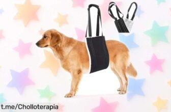 Increíble ayuda ajustable para perros mayores o con problemas en las patas traseras, apoyo que les encantará y a un precio de locura. ¡No dejes pasar esta oportunidad única!