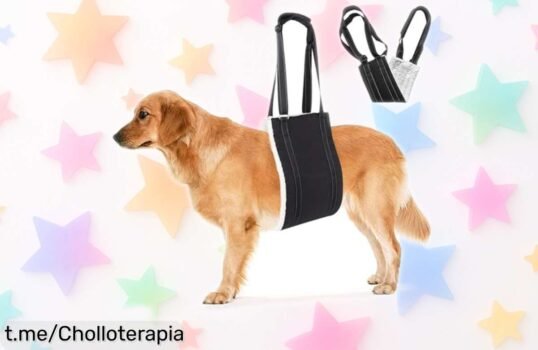 Increíble ayuda ajustable para perros mayores o con problemas en las patas traseras, apoyo que les encantará y a un precio de locura. ¡No dejes pasar esta oportunidad única!
