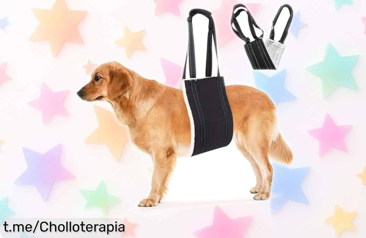 Increíble ayuda ajustable para perros mayores o con problemas en las patas traseras, apoyo que les encantará y a un precio de locura. ¡No dejes pasar esta oportunidad única!