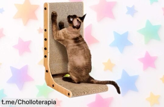 Increíble rascador EHEYCIGA que se convierte en cama y alfombra, exclusivo ofertón para mimar a tus gatos y proteger tus muebles, ¡no dejes escapar esta maravilla!