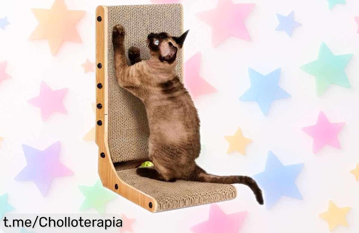 Increíble rascador EHEYCIGA que se convierte en cama y alfombra, exclusivo ofertón para mimar a tus gatos y proteger tus muebles, ¡no dejes escapar esta maravilla!