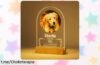 Lámpara de luz nocturna personalizada Bemaystar para mascotas: un precio loco que conserva los recuerdos de tus peludos, ¡no dejes pasar esta oportunidad única!