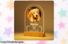Lámpara de luz nocturna personalizada Bemaystar para mascotas: un precio loco que conserva los recuerdos de tus peludos, ¡no dejes pasar esta oportunidad única!