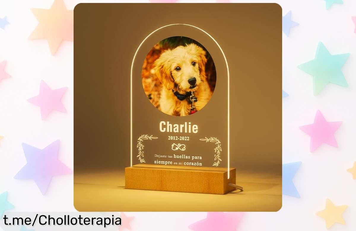Lámpara de luz nocturna personalizada Bemaystar para mascotas: un precio loco que conserva los recuerdos de tus peludos, ¡no dejes pasar esta oportunidad única!