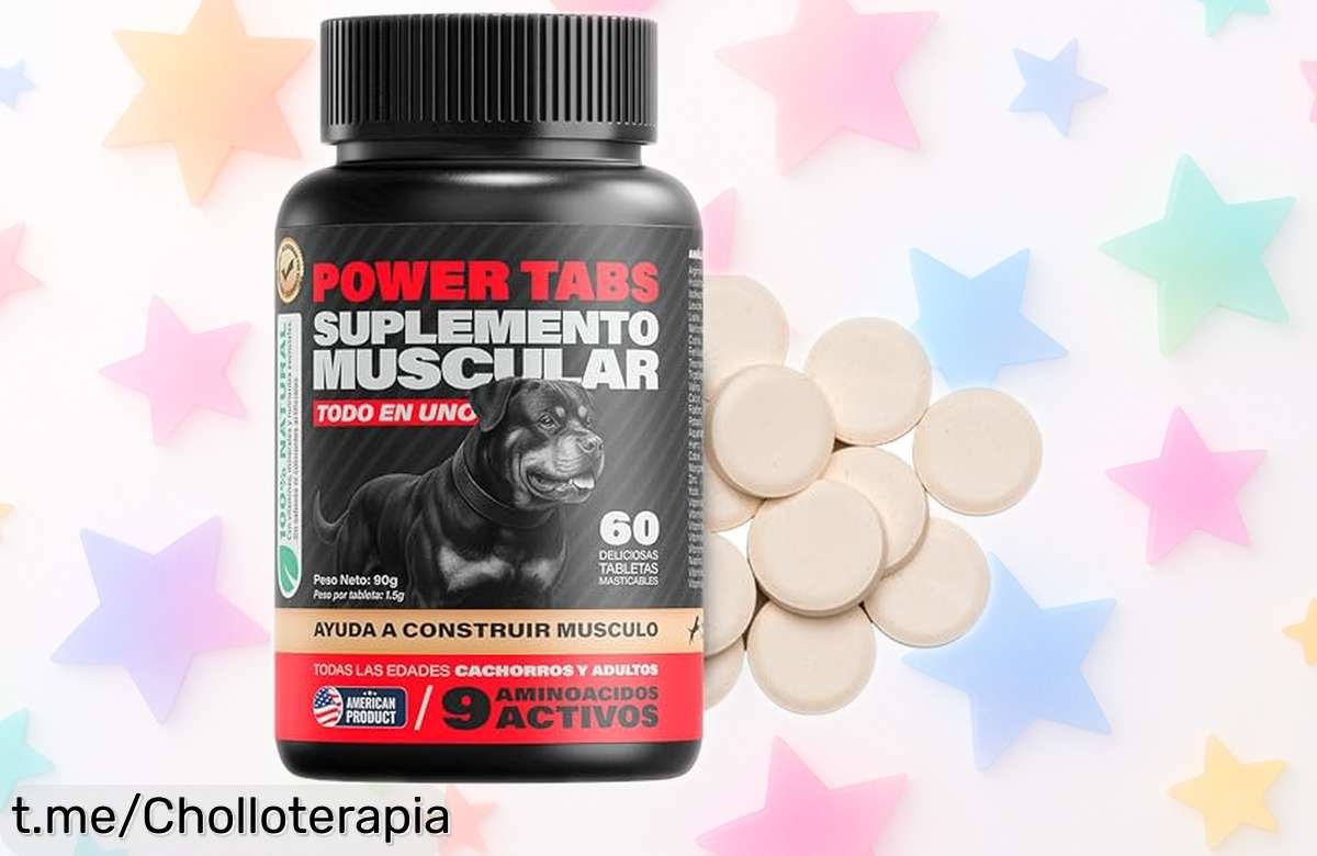 Power Tabs para perros activos, oferta con un precio loco que tu mascota no puede dejar escapar. ¡Dale ese extra de energía y músculo hoy mismo y hazla feliz!