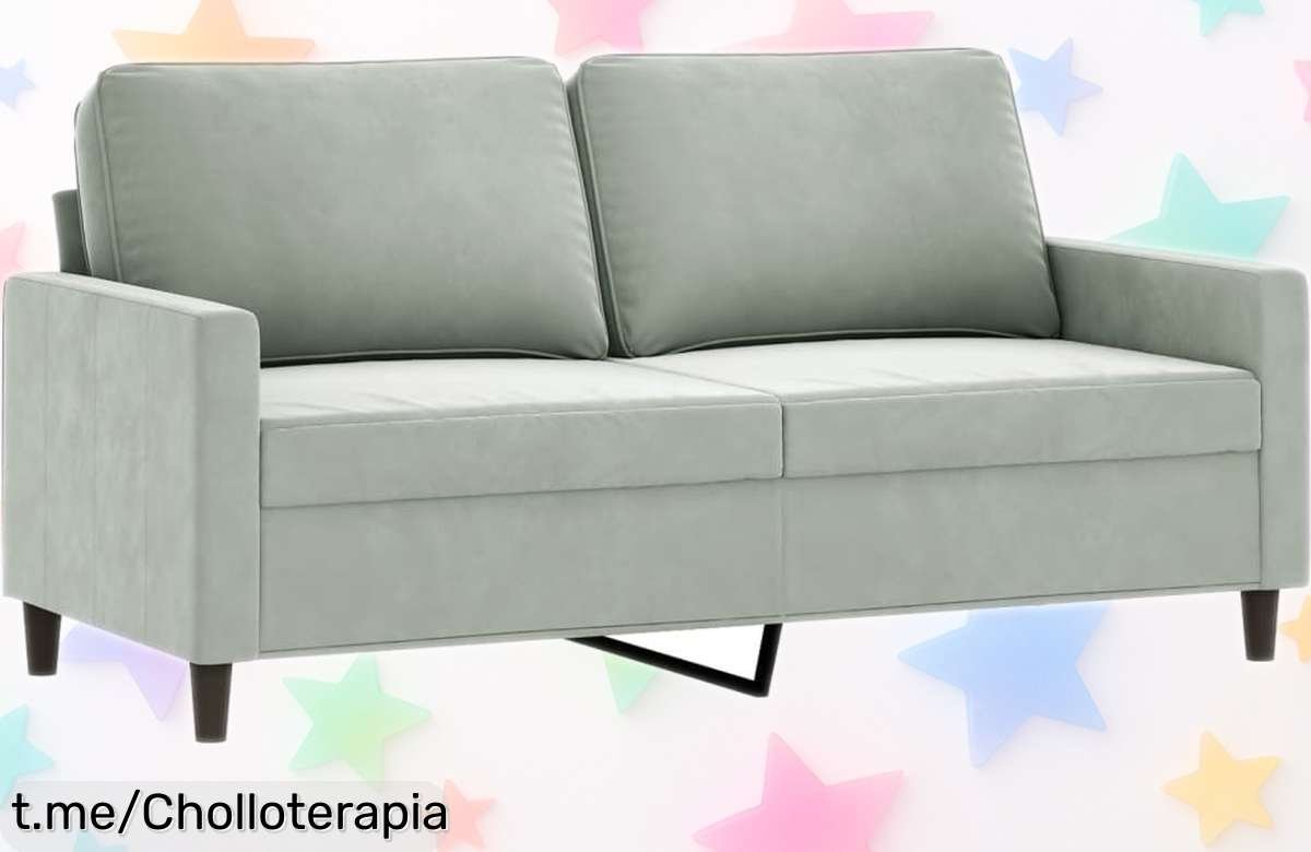 Sofá de 2 plazas de terciopelo gris claro vidaXL para tu salón con un precio loco que no te puedes dejar escapar, dale ese estilo chic que tanto quieres ya mismo.