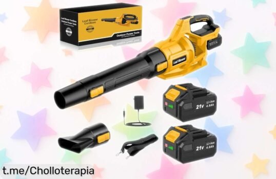 Soplador de hojas JYGMPRO con 2 baterías y 3 velocidades: ¡ofertón que no te puedes dejar escapar para mantener tu jardín siempre impecable!