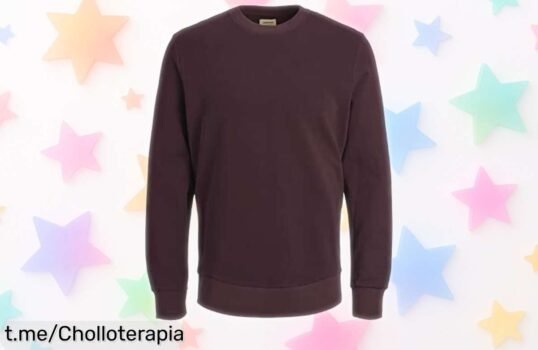 Sudadera JACK & JONES de hombre con un estilo único y descuento increíble, no te quedes sin la tuya y luce genial en cualquier ocasión. ¡Aprovecha este precio regalado ya!