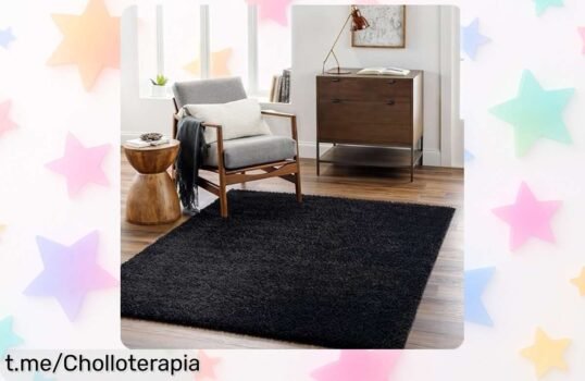 Súper suave alfombra de pelo largo Livabliss, dale a tu hogar el toque que merece y disfruta cada paso como un auténtico lujo por un precio regalado.